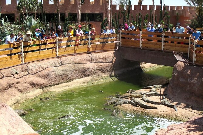 Agadir Crocodile Park Adventure - Visitor Guidelines and Accessibility