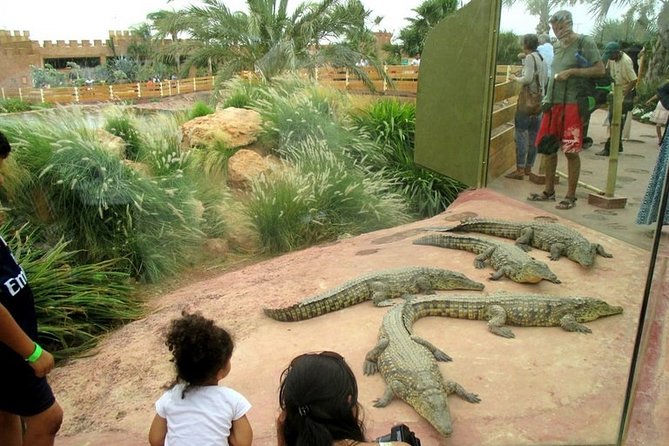 Agadir Crocodile Park Including Transfer and Tickets - Inclusions