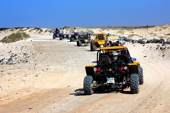 Agadir Desert Dunes Buggy Tour - Inclusions and Services
