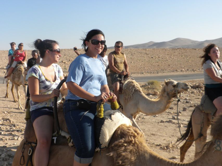Agadir: Flamingo River Camel Ride With Optional BBQ Dinner - Experience Description