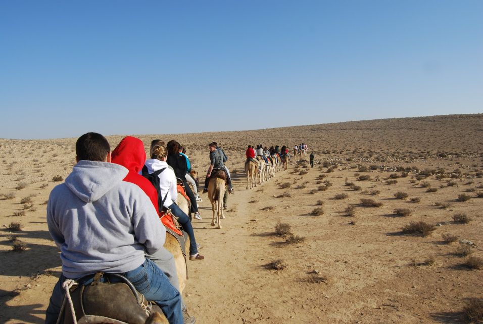 Agadir: Flamingo River Sunset Camel Ride With BBQ Diner - Last Words