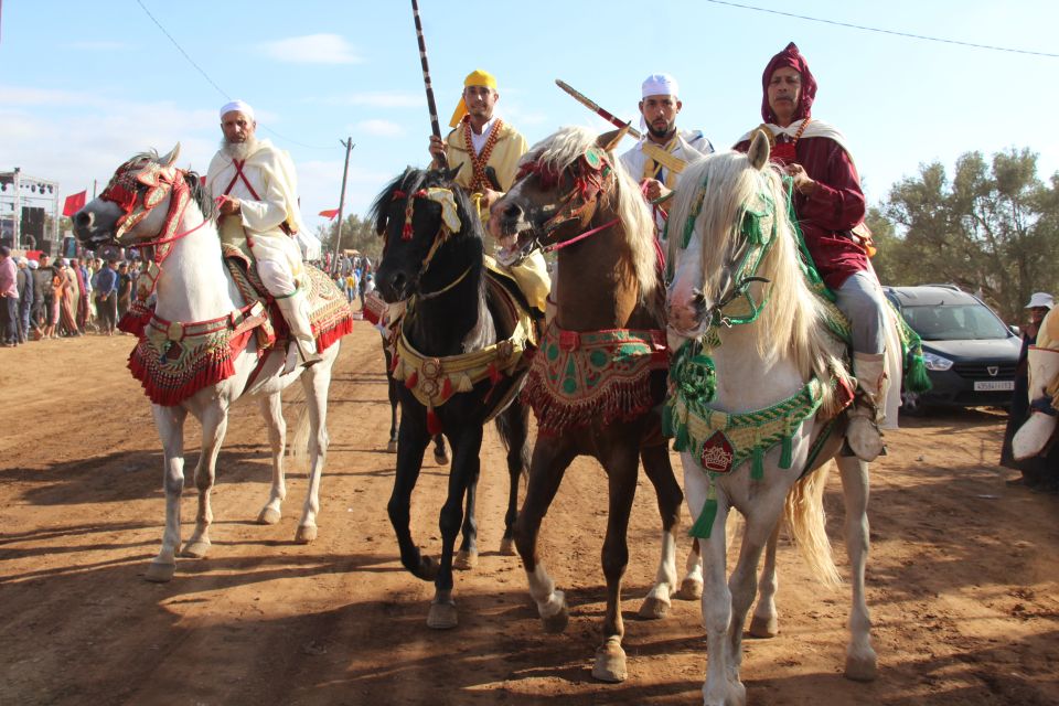 Agadir: Horse Ride Experience With Flamingos Watching - Expertly Guided Horse Riding Experience