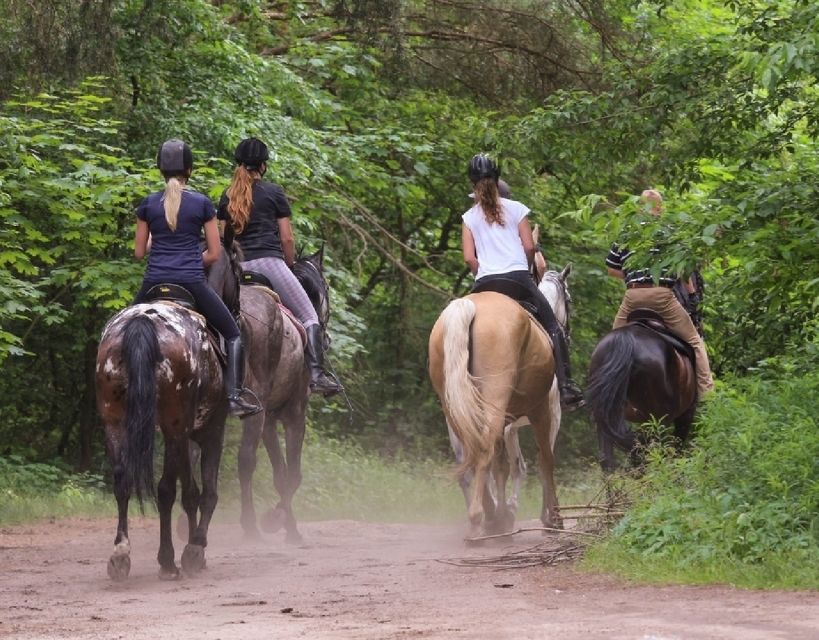 Agadir: Horse Ride in Flamingo Souss River - Highlights