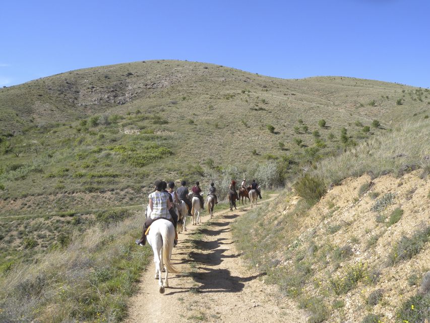 Agadir Horse Riding Visite the Flamingo River With Tea Drink - Full Description