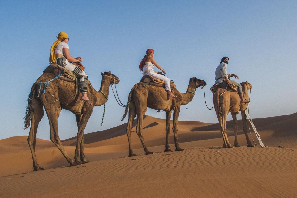 Agadir or Taghazout: Camel Ride Experience in River or Beach - Activity Description of Camel Ride Journey