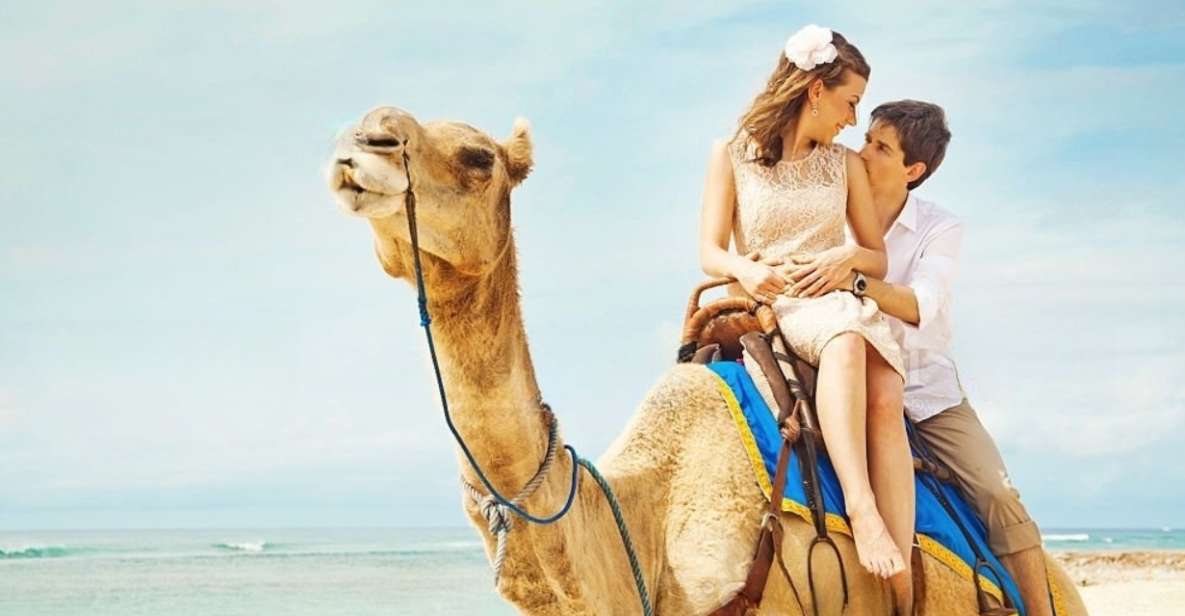 Agadir or Taghazout: Camel Ride Experience - Exploring Agadirs Landscapes