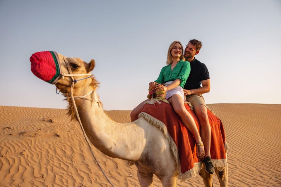 Agadir or Taghazout: Camel Riding and Flamingo River Tour - Language Options and Guided Tours