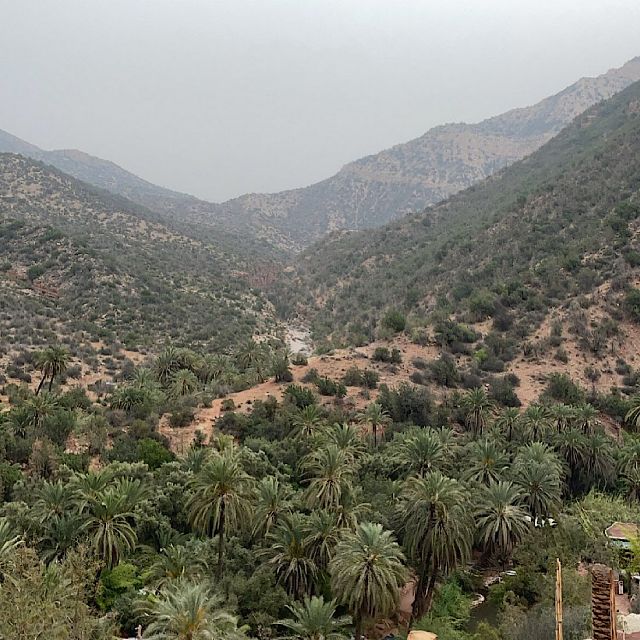 Agadir: Paradise Valley Guided Mountain Tour With Breakfast - Tour Highlights