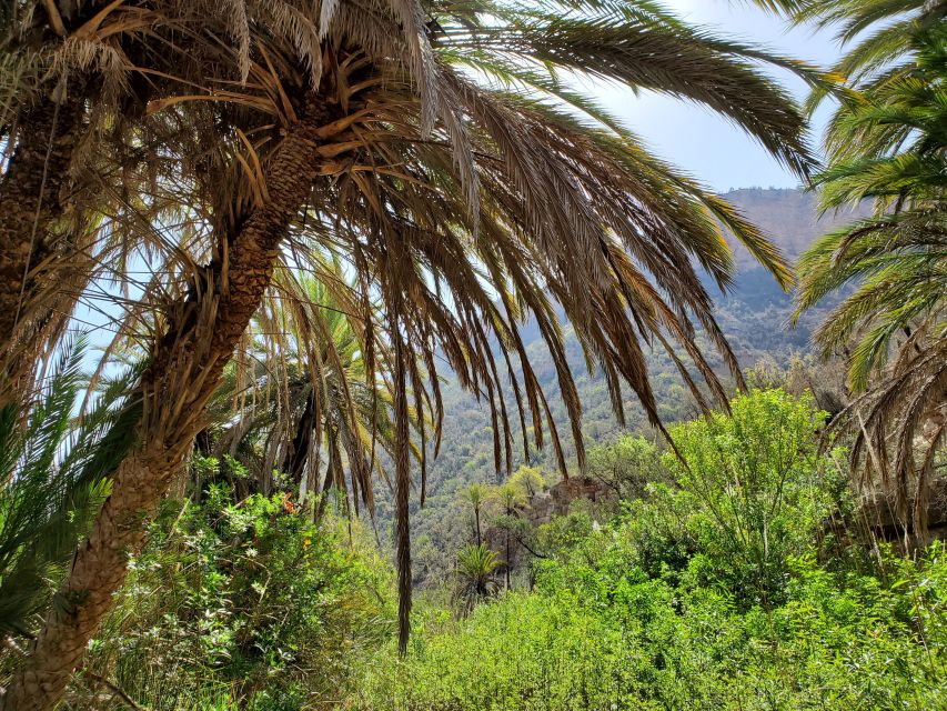 Agadir: Sahara Desert and Paradise Valley Including Tajine - Highlights