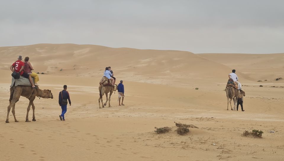 Agadir: Sahara Desert Camel Ride & Sandboarding Halfday Trip - Activity Highlights Overview