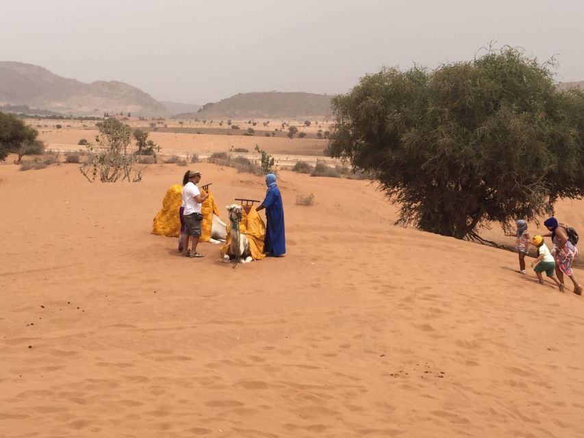 Agadir Sahara Desert Trip With Lunch And Camel Trek - Full Tour Description