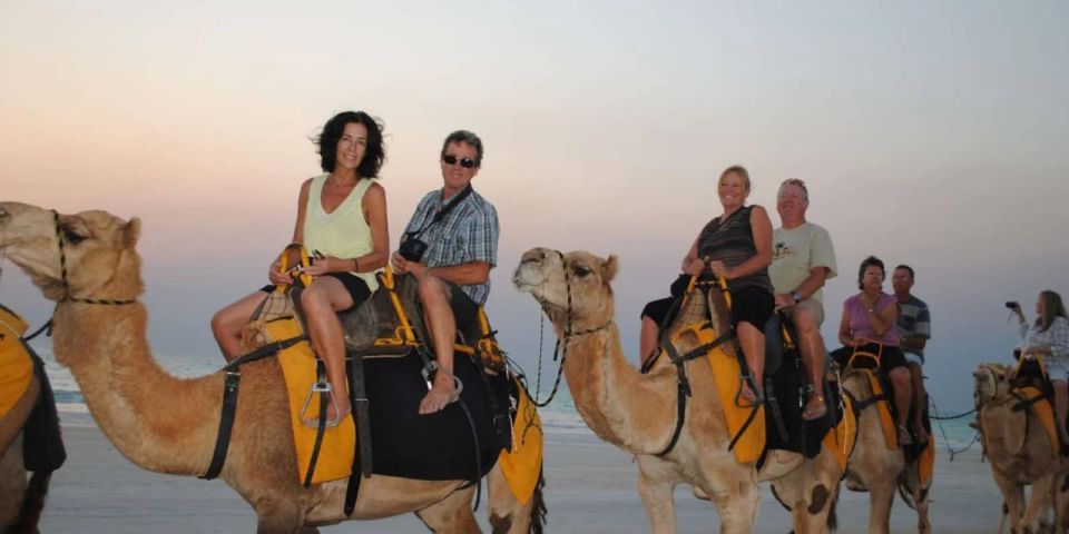 Agadir: Sunset Camel Ride, Flamingo River Tour & Drink - Full Tour Description