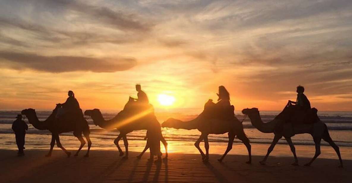 Agadir: Sunset Camel Ride With BBQ and Couscous - Activity Description