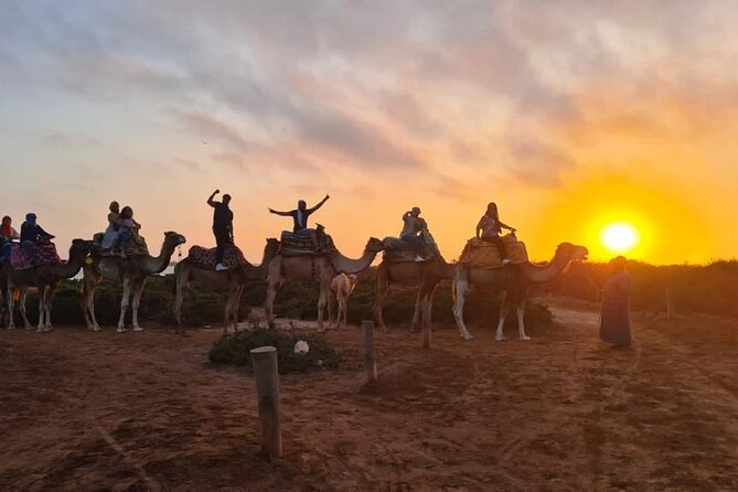Agadir Sunset Camel Ride With Moroccan Barbecue & Hotel Transfers - Pricing and Value Proposition