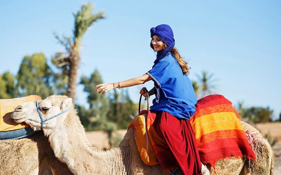 Agadir: Sunset Camel Riding Experience And Relaxing Massage - Customer Reviews