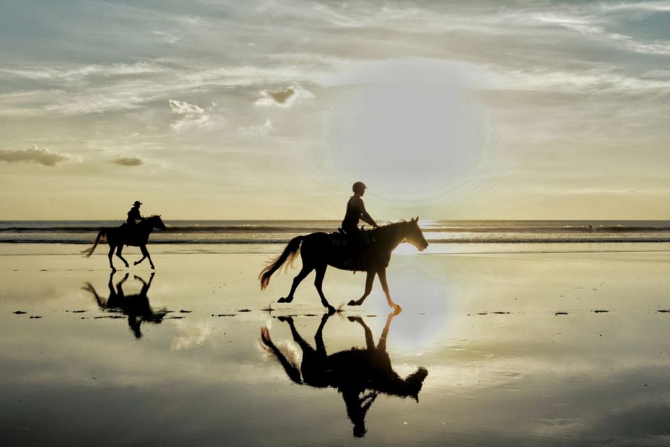 Agadir: Sunset Horse Riding Experience And Relaxing Massage - Review Summary