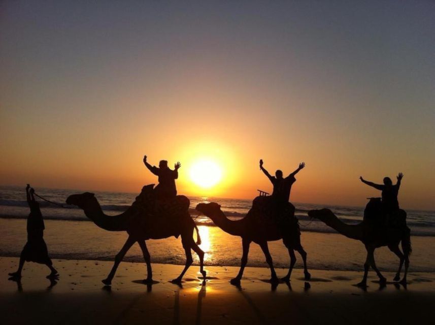 Agadir/Taghazout: Camel Ride on the Beach - Activity Highlights