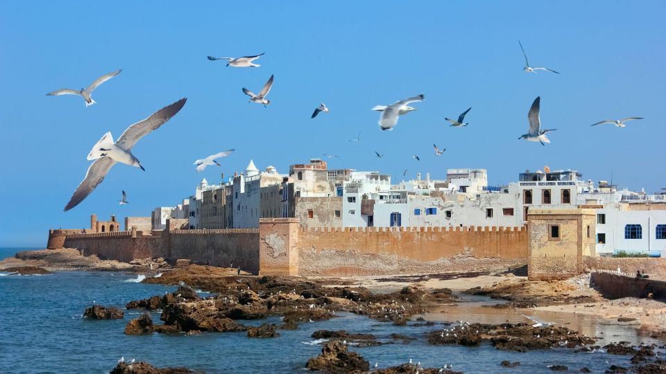 Agadir to Essaouira Trip Visit the Ancient & Historical City - Experience Highlights