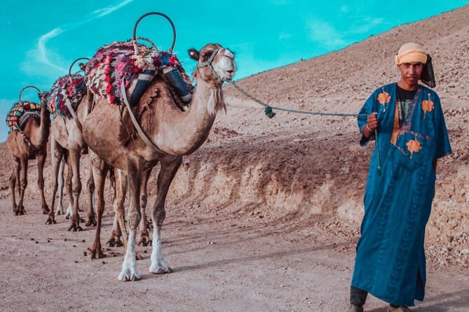 Agafay Camel Ride - Traveler Reviews
