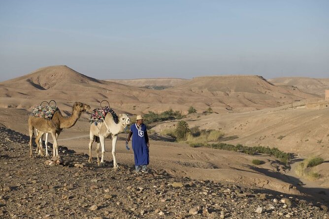 Agafay Desert Camel Ride & Quad Bike - Customer Reviews