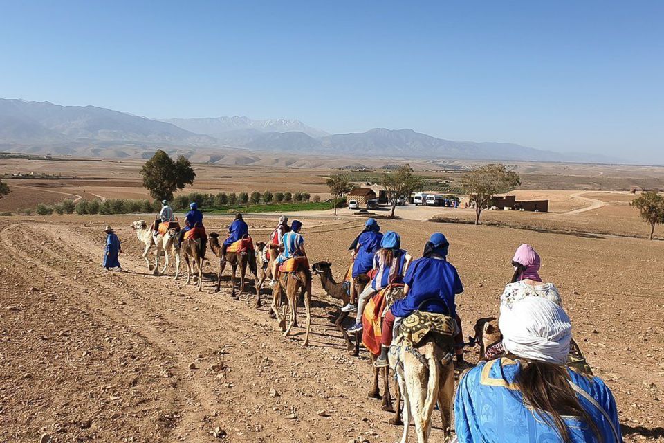 Agafay Desert Camel Ride With Dinner - Highlights