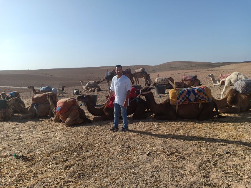 Agafay Desert Camel Ride With Lunch - Booking Information