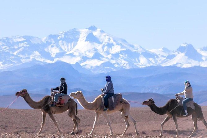 Agafay Desert Day Trip & Atlas Mountains With Camel Ride - Booking Information