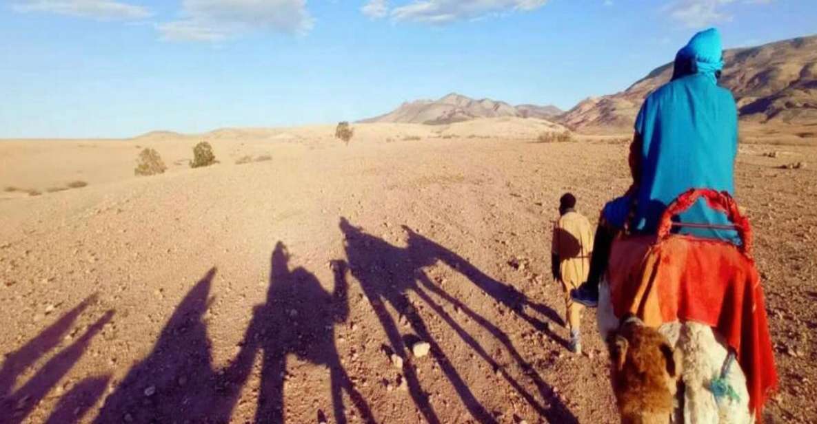 Agafay Desert Evening: Camel Ride, Quad Bike, Dinner & Show - Reviews