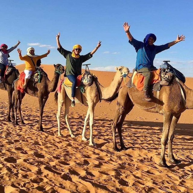 Agafay Desert: Magical Dinner With Show and Camel Ride - Itinerary Inclusions