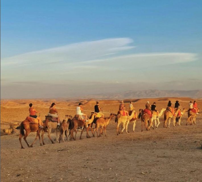 Agafay Desert Package: Quad Bike& Camel Ride and Lunch - Transportation Logistics