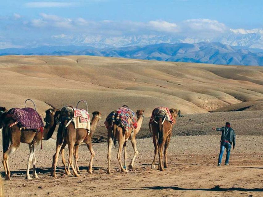 Agafay Desert: Quad Bike & Camel Ride and Dinner Show - Agafay Desert Visit