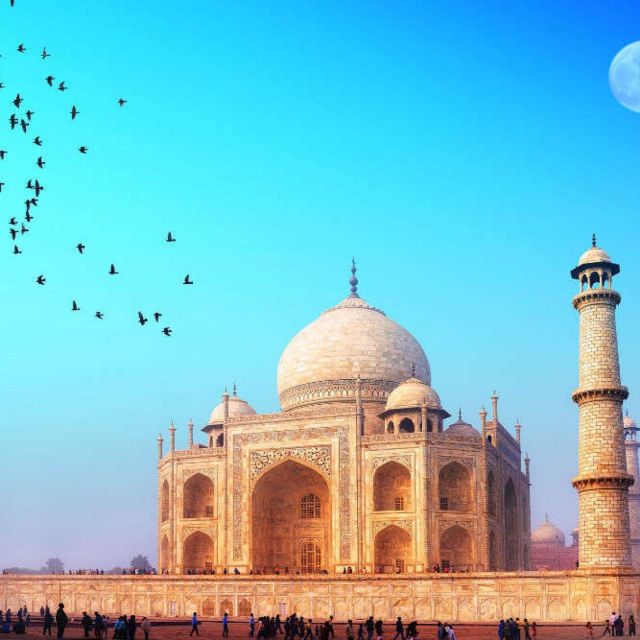 Agra: Sunrise Private Tour to the Taj Mahal - Taj Mahal Details