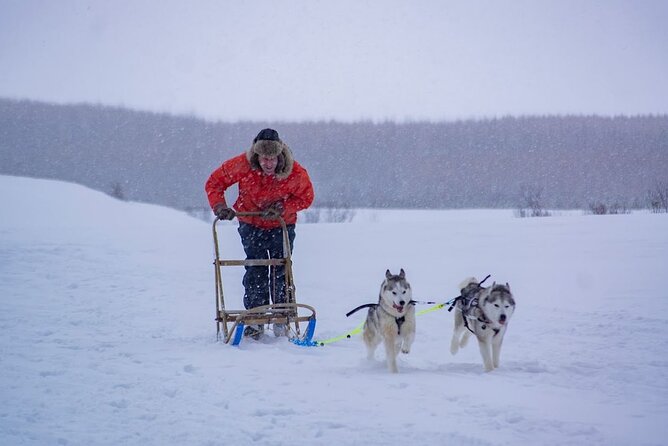 Akureyri Dog Sledding Private Experience - Meeting Details