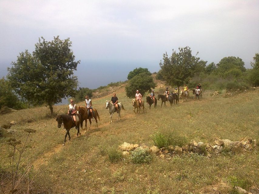 Alanya: Horse Riding Adventure - Booking Information