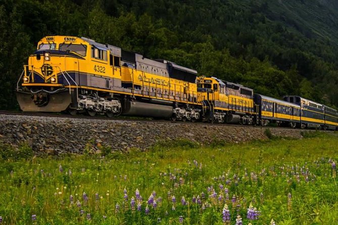 Alaska Railroad Anchorage to Denali One Way - Arrival Time at Denali NP