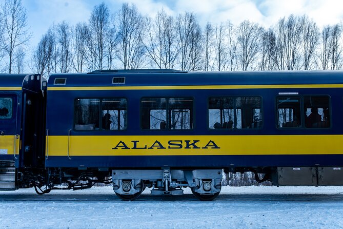 Alaska Railroad Aurora Winter Fairbanks to Anchorage One Way - Booking and Ticket Information