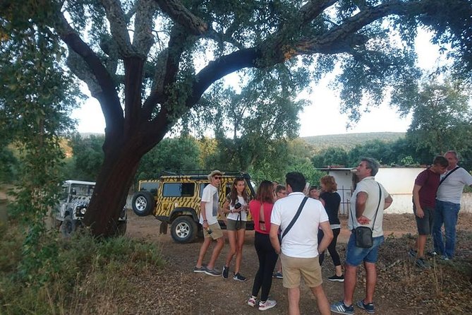 Albufeira (FULL DAY) Jeep Safari Tour - Customer Experiences and Feedback