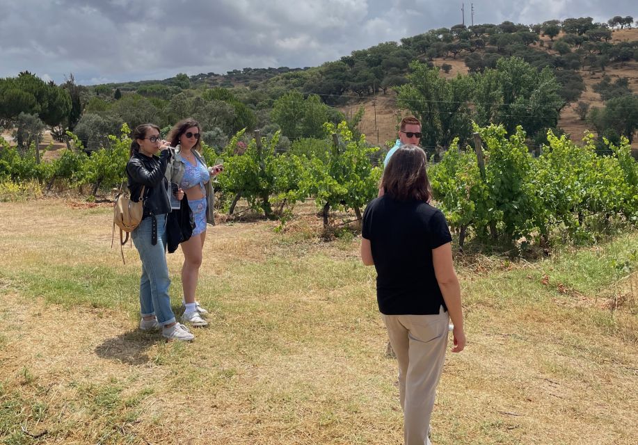 Alentejo Wine From Évora - Exploring Local Wineries