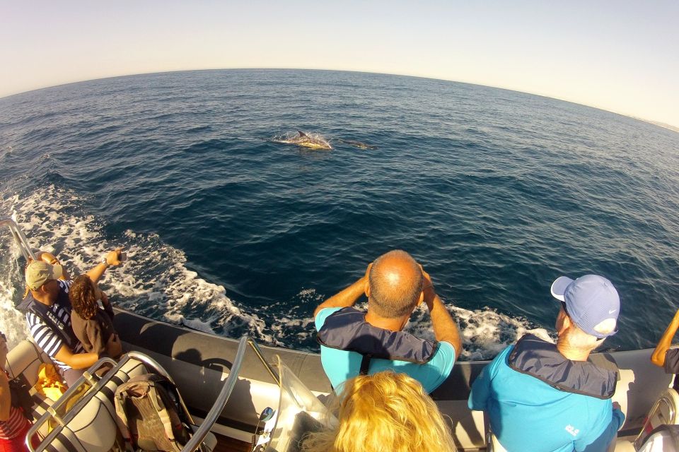 Algarve Dolphin Watching & Marine Life Eco Tour - Customer Reviews