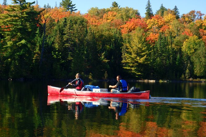 Algonquin Park 4-Day Luxury Moose/Beaver/Turtle Camping & Canoeing Adventure - Itinerary Highlights