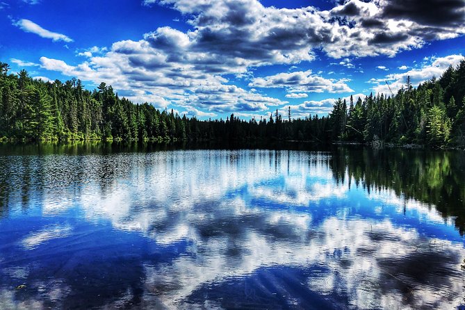 Algonquin Provincial Park Day Tour From Toronto - Customer Reviews and Highlights