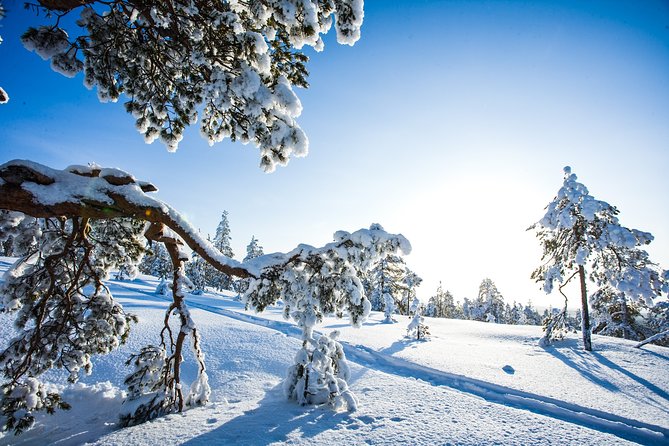 All Day Snowmobile Driving - Return to Meeting Point After Adventure