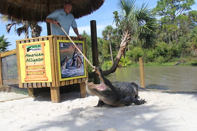 All Inclusive Florida Everglades Airboat Tour Wild Florida Day With Transport - Wildlife Encounters