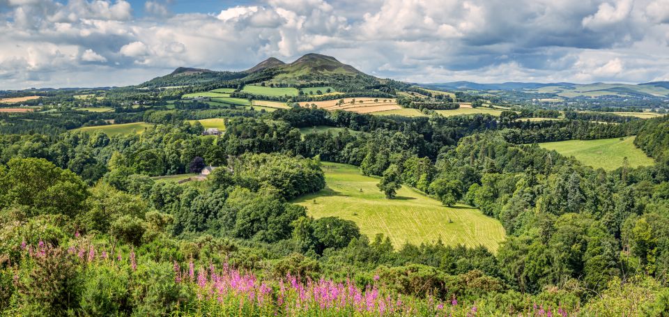 Alnwick Castle, Northumberland & Scottish Borders 1-Day Tour - Participant Information and Selection