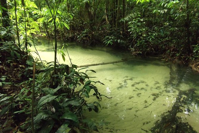 Alter Do Chão FLONA Jamaraquá Tour - Customer Reviews