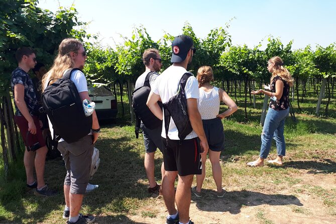 Amarone Wine Tour - Booking Information