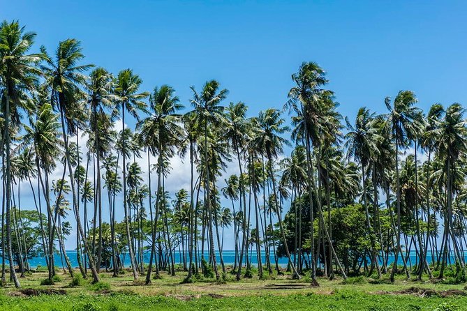 Amazing Attractions of Tahiti Charming Island – Private Half Day Circle Tour - Top Guides and Experiences