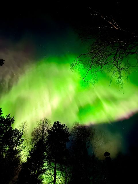 Amazing Aurora With BBQ in the Best Spot in Rovaniemi! - Tour Details