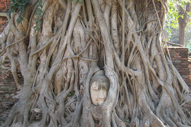 Amazing Ayutthaya Day Trip From Bangkok - Transparent Pricing and Costs