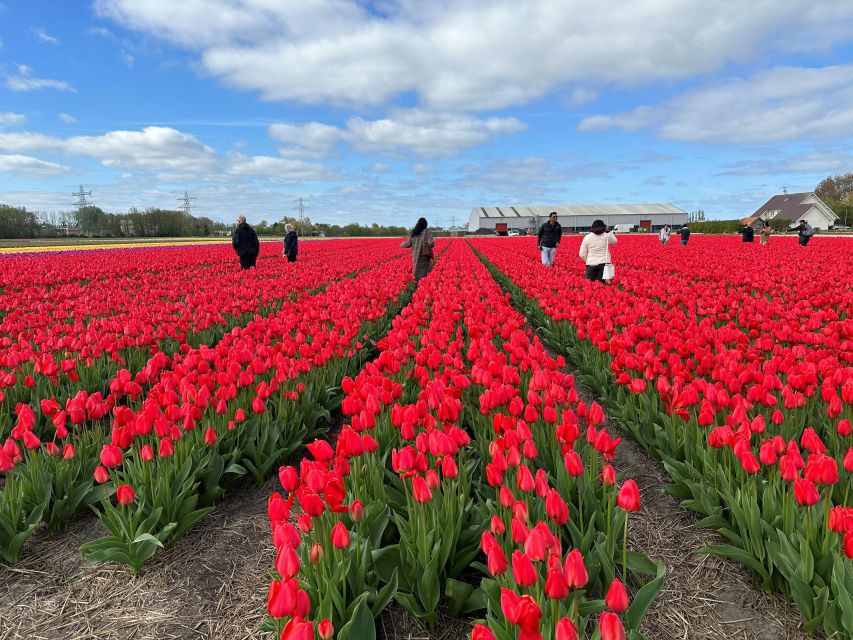 Amsterdam: Keukenhof, Tulip Farm Full-Day Tour With Cruise - Customer Reviews